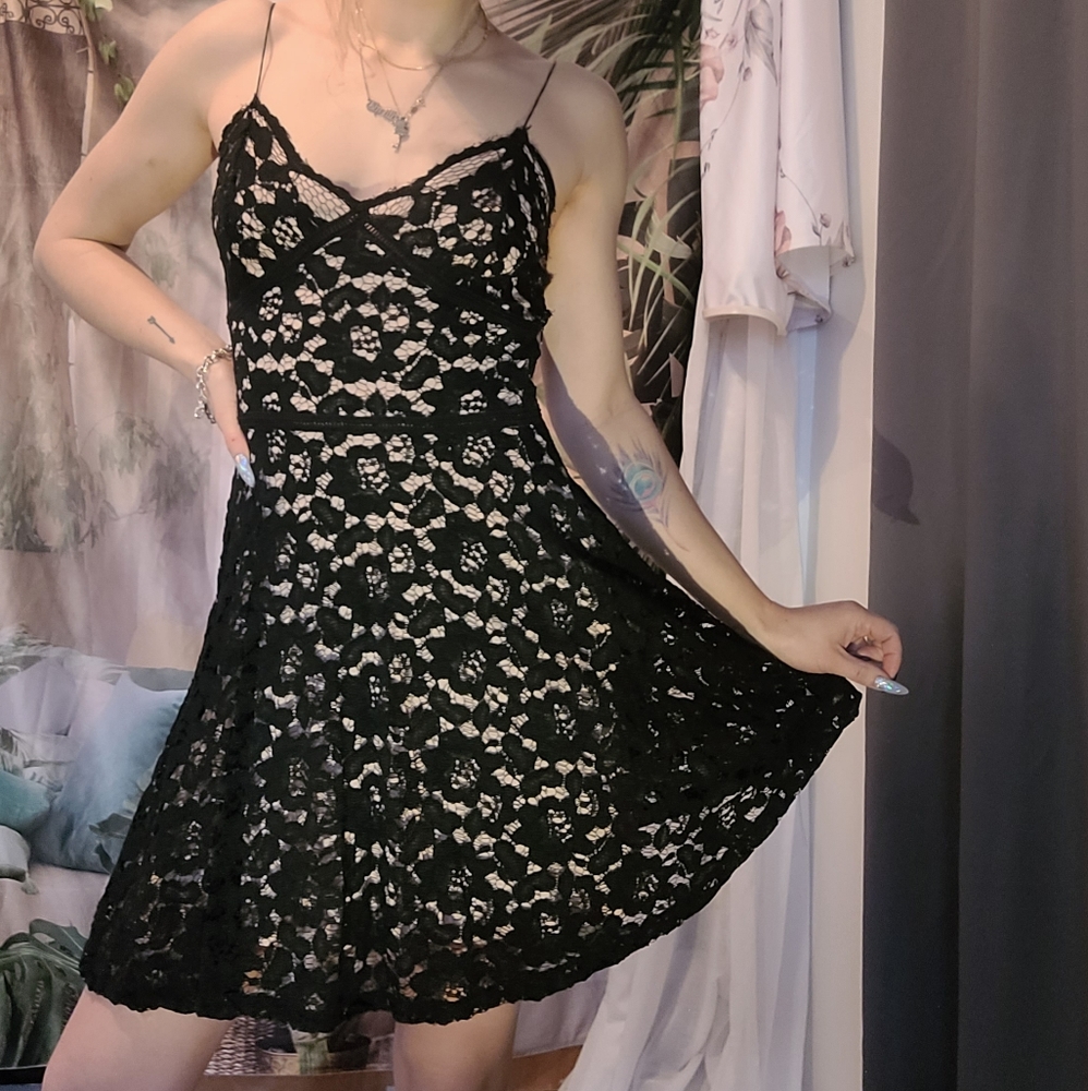 Zara Lace Skater Dress
